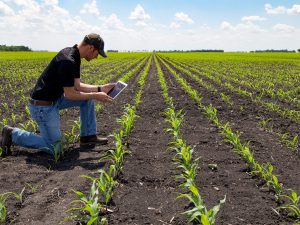 Εφαρμογές γεωπληροφορικής στον πρωτογενή τομέα, αξιοποίηση σύγχρονων εφαρμογών, τεχνολογίας και λογισμικών - Συστήματα GIS