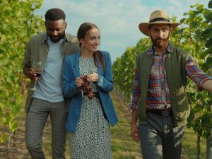 Wine Tourism Development Executive