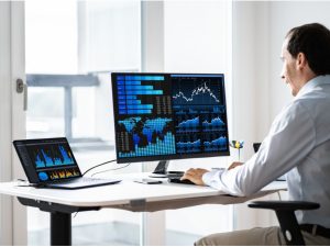 Business Analyst